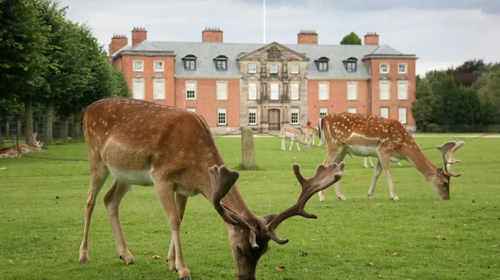 Is Altrincham Worth Visiting for a Day Trip from Manchester?