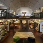What Are the Current Opening Times and Admission Prices for Bolton Museum and Aquarium